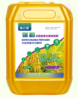 ǿ��-���������辷�