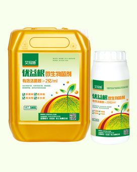 �����-΢�������