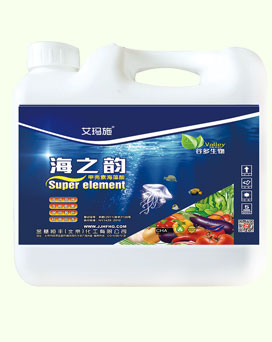 ��֮��-�׿��غ�����