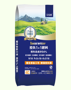 ��ʧ1+1����